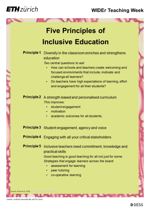 Enlarged view: Five Principles of Inclusive Education